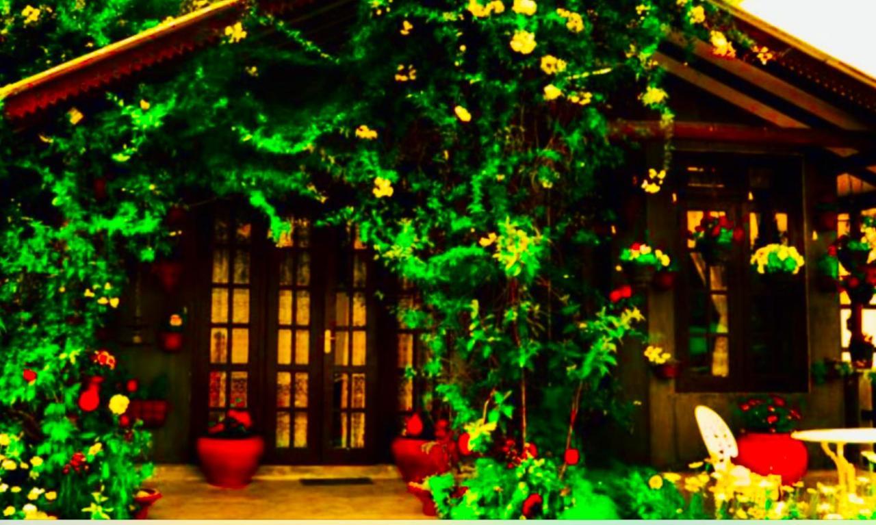 Serendipity Lake Artistic Bungalow By Heidis Home Nuwara Eliya Extérieur photo